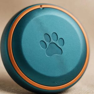 Close-up of the WagTag trackable dog tag